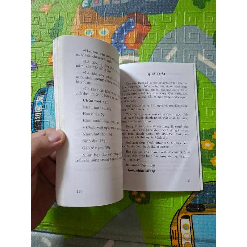 Rau, hoa quả thực phẩm và chữa bệnh 1023270