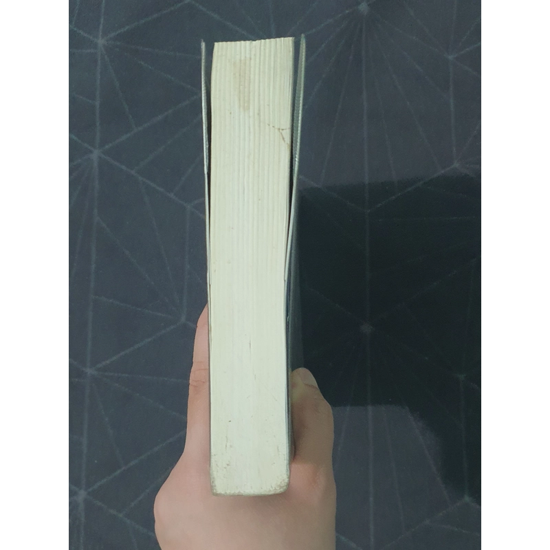 "Trăng sáng cố hương" - Lại Nhĩ 492903