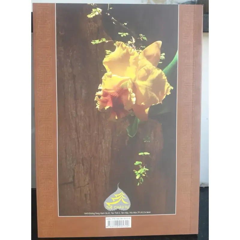 Thái Thượng Cảm Ứng Thiên Hội Biên - Đức Thái Thượng Lão Quân mới 90% 784625