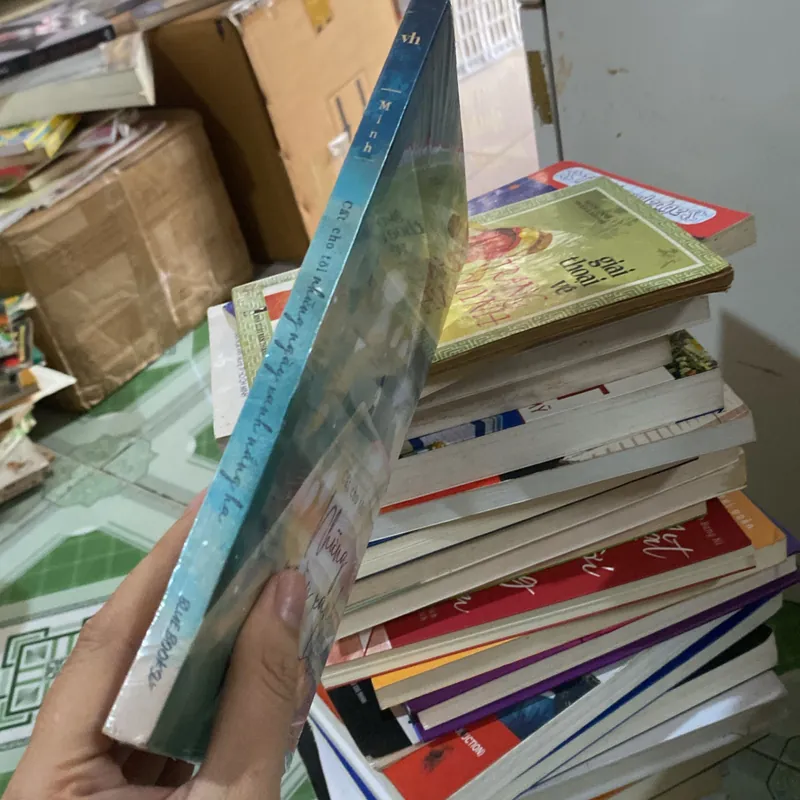 Cất cho tôi những ngày xanh nắng hạ 564699