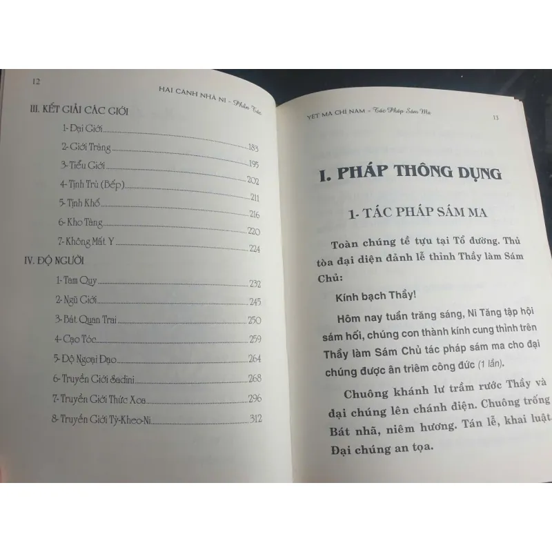Hai Cánh Nhà Ni - Tỳ Kheo Ni Hải Triều Âm 718746