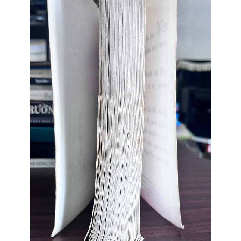 Mỹ Mãn Đệ Nhất Thiên Hạ - Lưu Nguyễn 933618