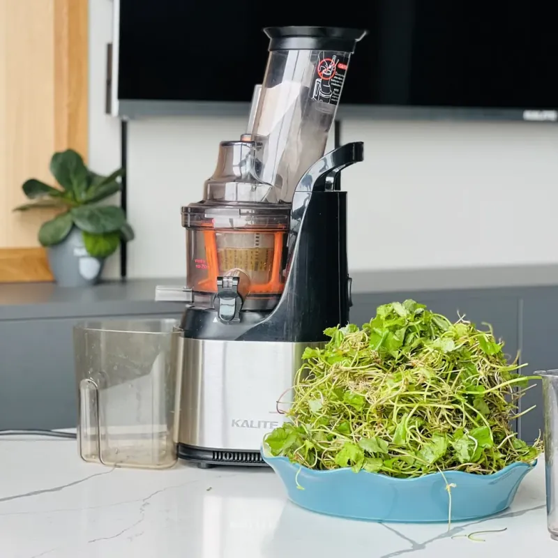 🌱 KALITE KL-565 – Máy ép chậm cho lối sống lành mạnh 780488