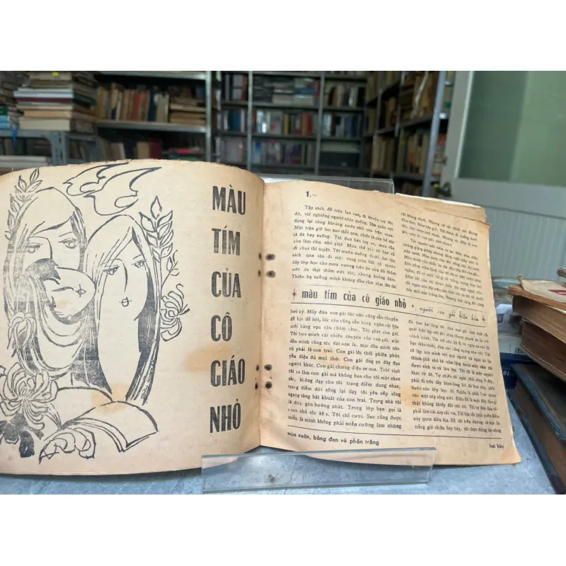 MÙA XUÂN BẢNG ĐEN VÀ PHẤN TRẮNG 561927