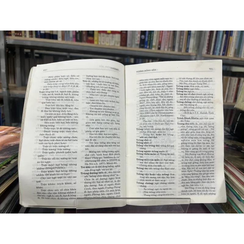 TỰ VỊ TIẾNG NÓI MIỀN NAM- VƯƠNG HỒNG SỂN 700994