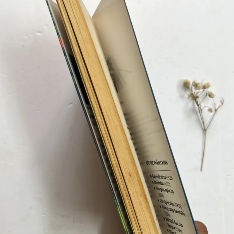 Bác sĩ Ai Bô Lít - Korney Chukovsky 597632