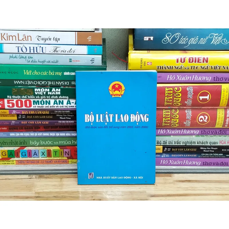 Bộ luật lao động  680152