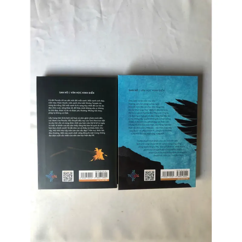 Sách của Toni Morrison: Mắt Nào Xanh Nhất & Bài Ca Solomon 1001418