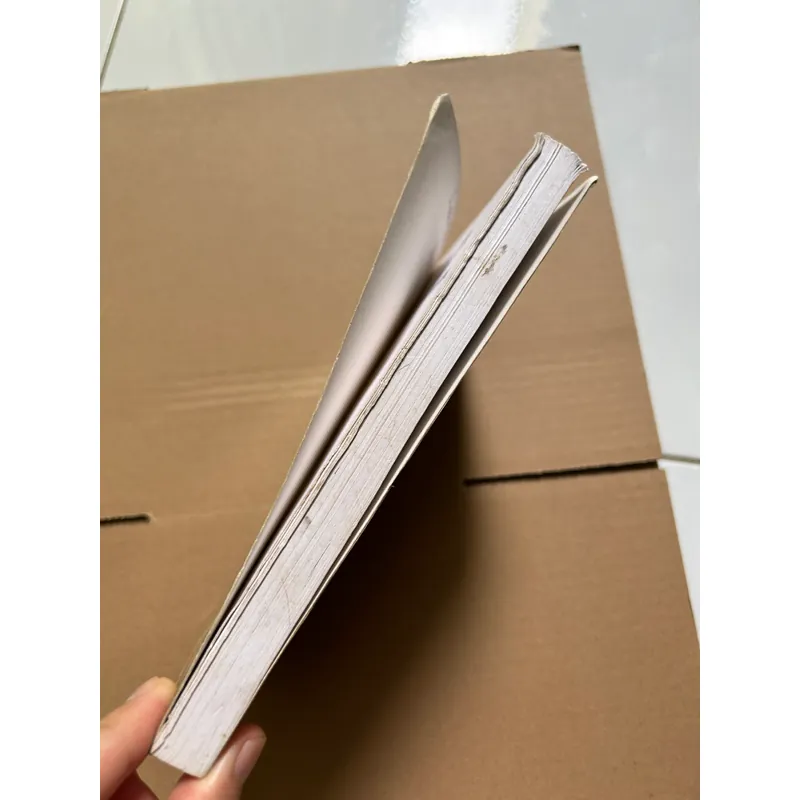 HUYỀN KÝ CỦA ĐỨC PHẬT TRUYỀN THEO DÒNG THIỀN TÔNG 687345