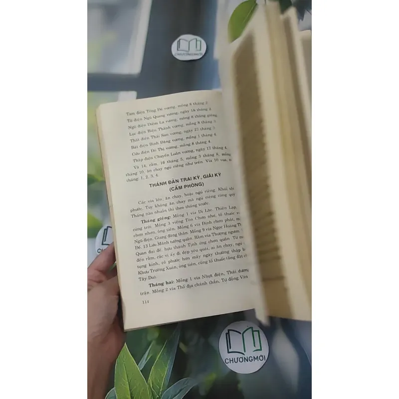 Hồi Dương Nhơn Quả 1018902