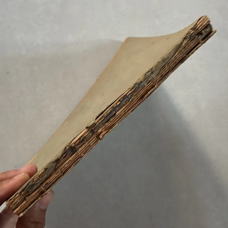 Geometrie plane - 195x 800657