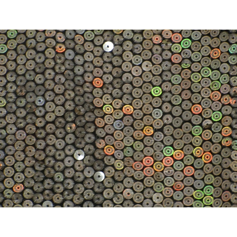 Áo khoác màu sắc - Hàng hiệu Authentic 878495