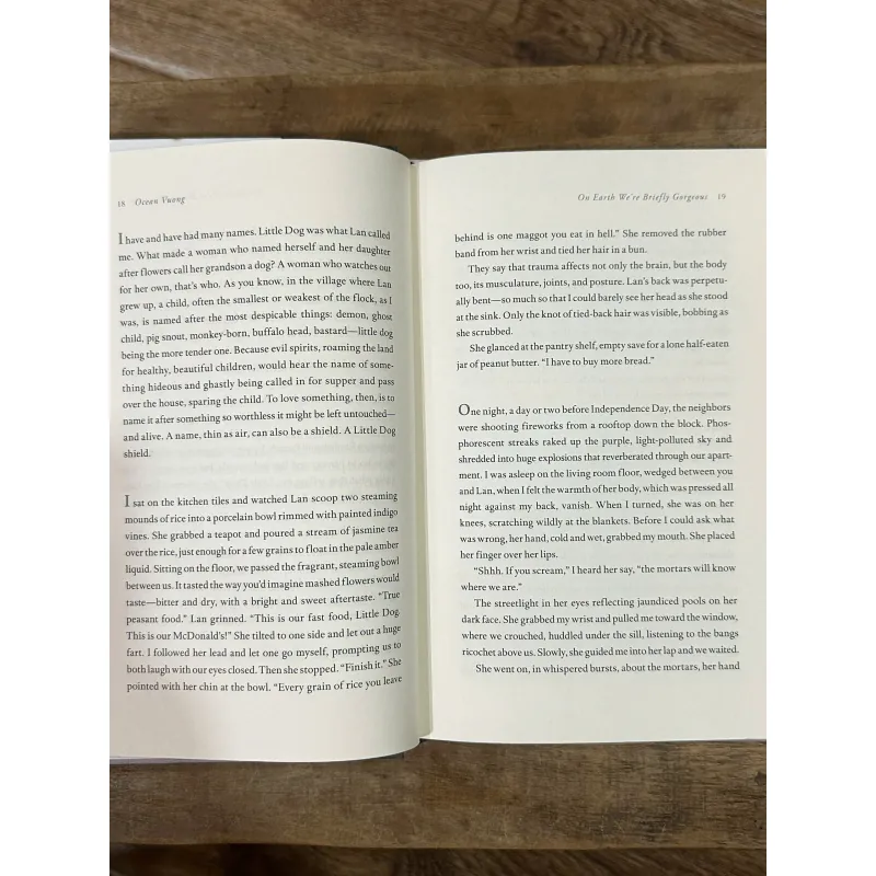 On Earth We're Briefly Gorgeous - Ocean Vuong 752886