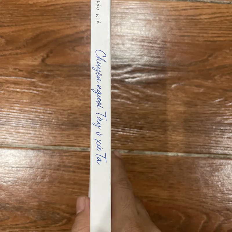 Chuyện người Tây ở xứ ta (9) 597107