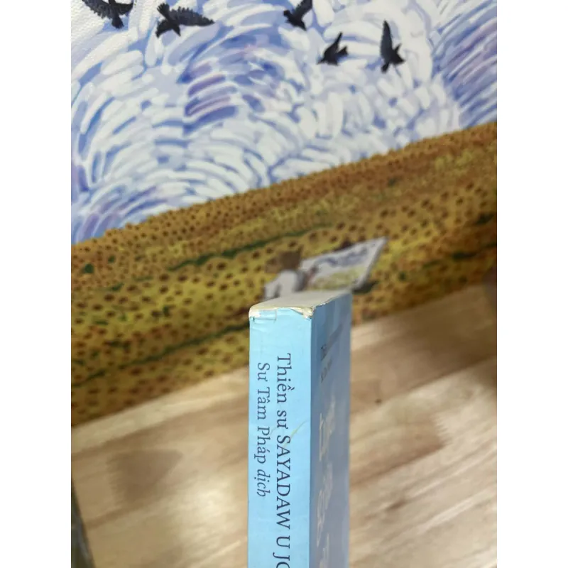 Tuyết Giữa Mùa Hè - Thiền sư Sayadaw U Jotika 931596