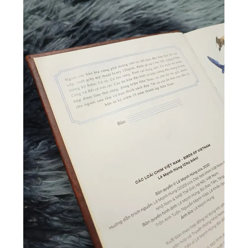Các loài chim Việt Nam (Lê Mạnh Hùng) 736179
