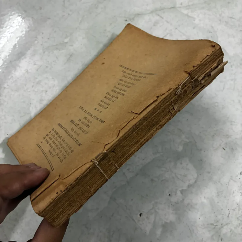 Mùa lá rụng trong vườn - Ma Văn Kháng 1031549