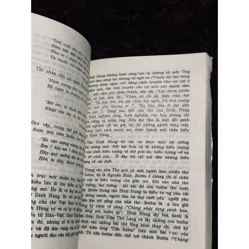 Con mắt thơ 1030666