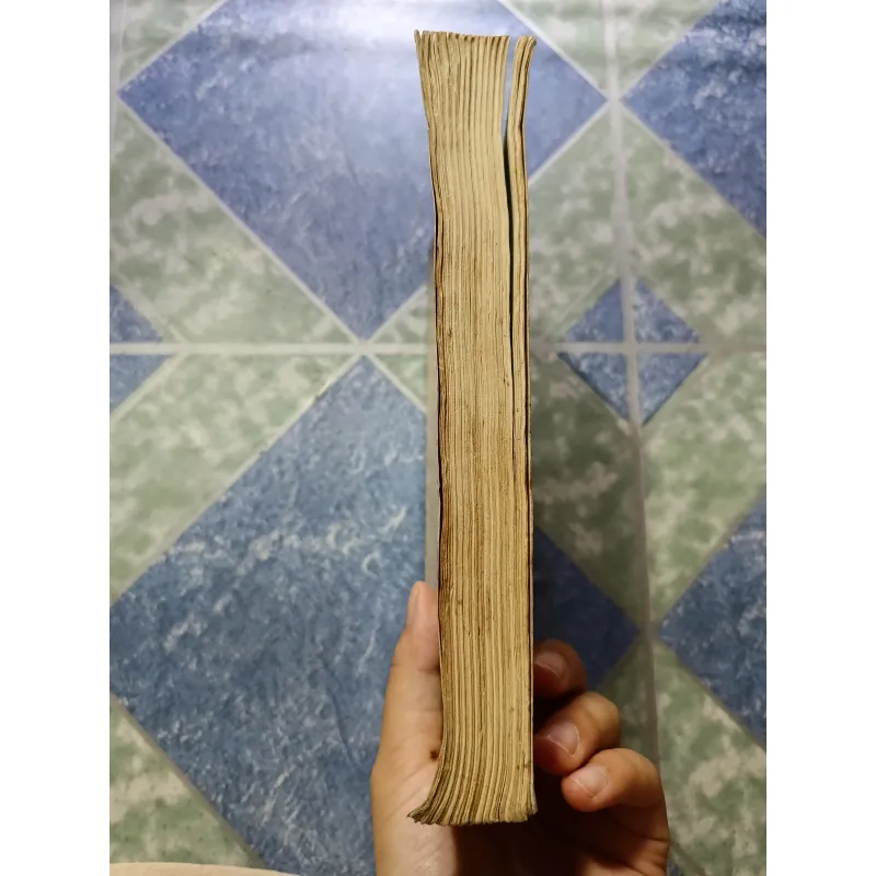 La Sơn Phu Tử - Hoàng Xuân Hãn 1000201