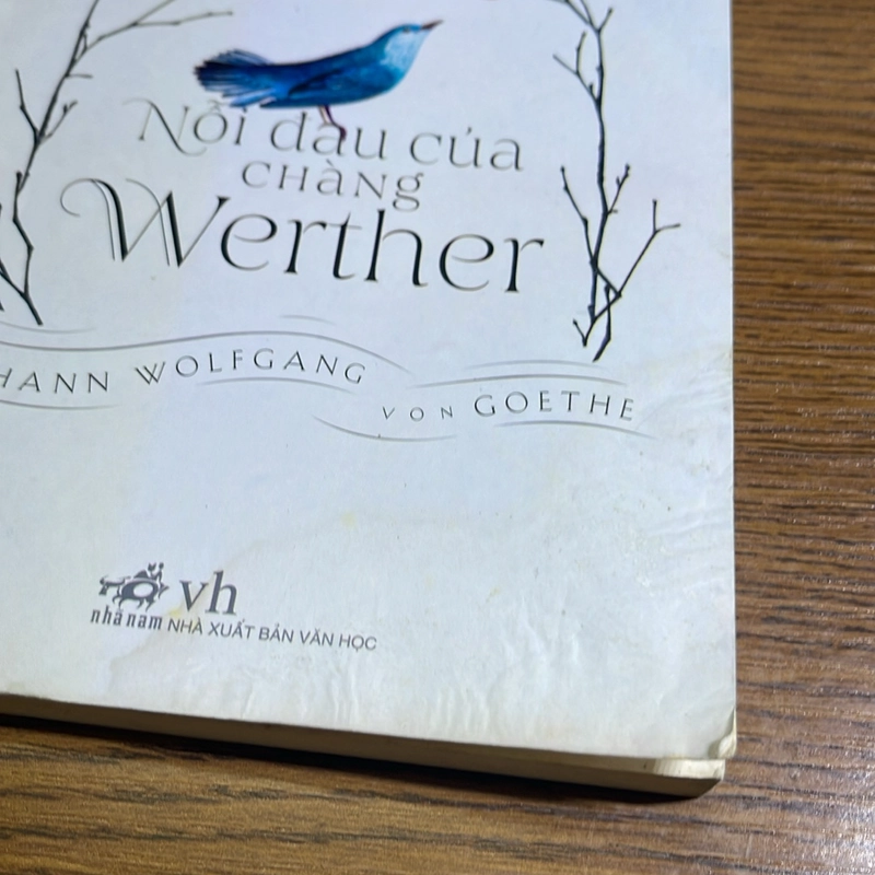 Nỗi đau của nàng Werther Johann Wolfgang von Goethe 498584