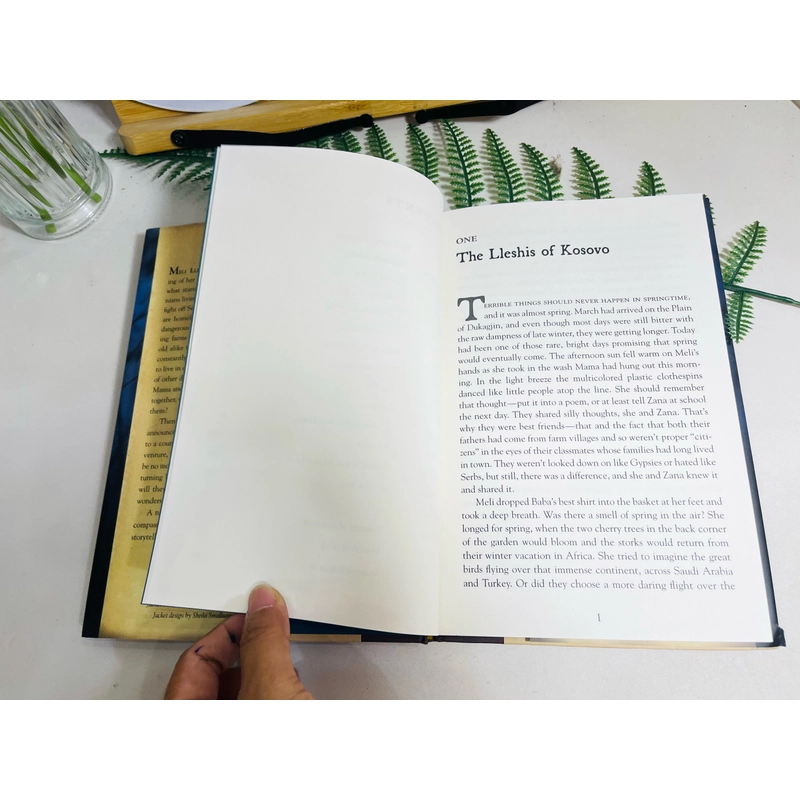  [Sách 2hand từ US] Like new 90% - Come, Llamas của Jennifer Morris 476679