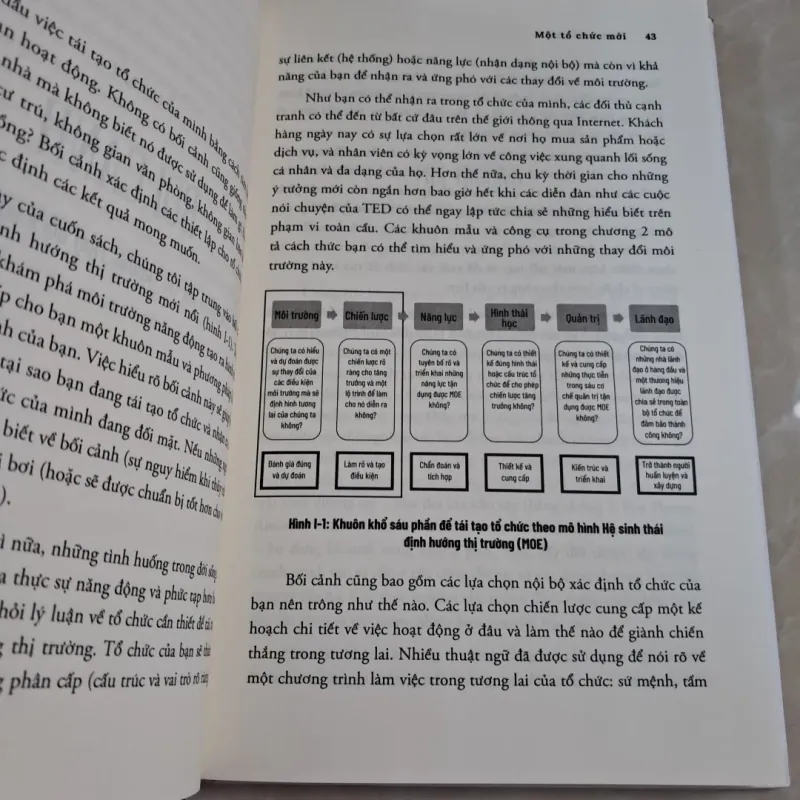 Tái Tạo Tổ Chức - 6 Bước Xoay Chuyển (mới chưa sử dụng) 931689