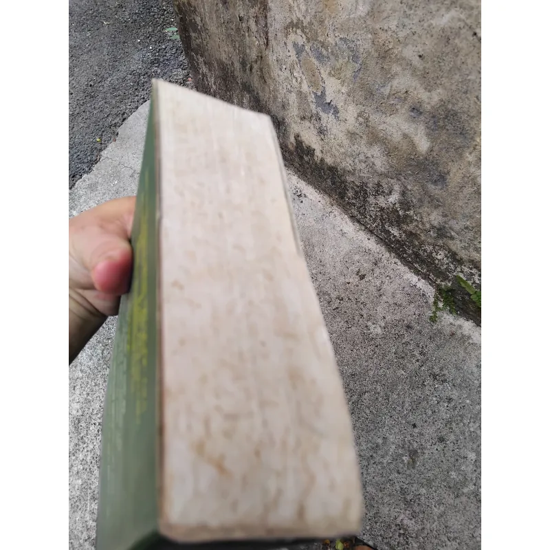 Về văn học dân gian xứ Nghệ của GS Ninh Viết Giao  1005726