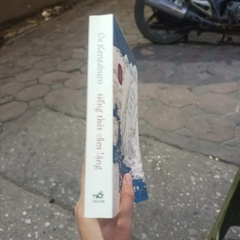 Tiếng Thét Câm Lặng - Oe Kenzaburo 1012713