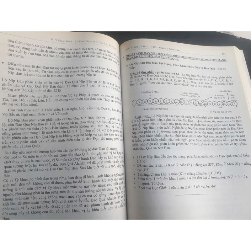 Tự Học Vi Diệu Pháp Tập 4 717696