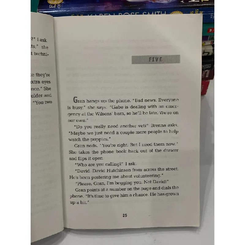 Wild at Heart: Fight for Life – Laurie Halse Anderson 559622