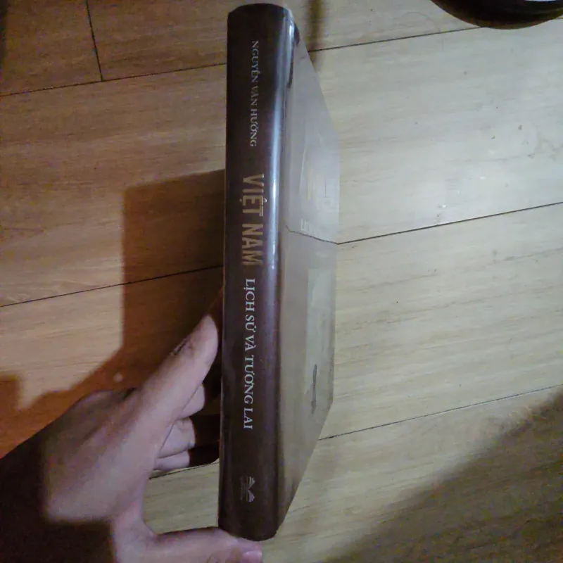 Việt Nam: Lịch sử và tương lai - Nguyễn Văn Hưởng 933848