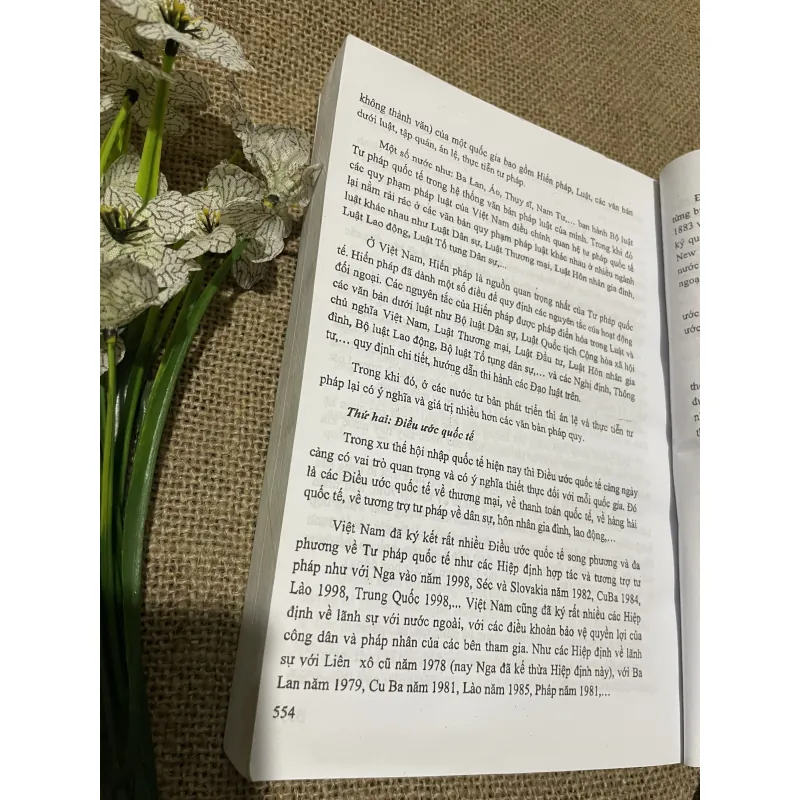 Giống trình đại cương nhà nước và pháp , 500 trang  797688