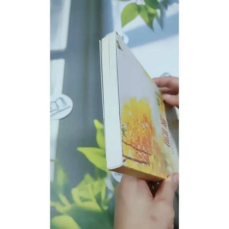 Bến Xe - Thương Thái Vi 744709