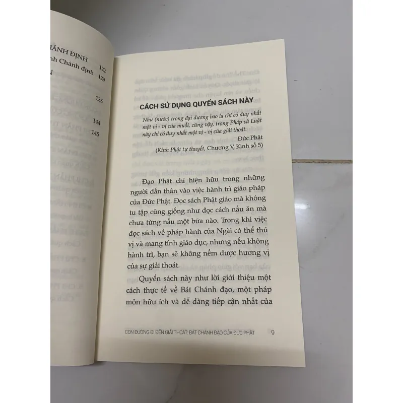 Bát Chánh Đạo của Đức Phật 995518