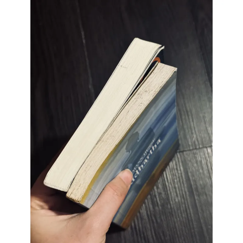 Combo 2c Hermann Hesse 994195