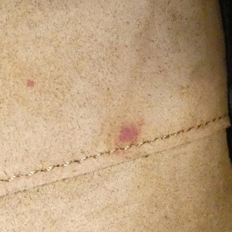 Loewe Amazona 19cm A039N10X02 Túi - Hàng hiệu Chính hãng 765693