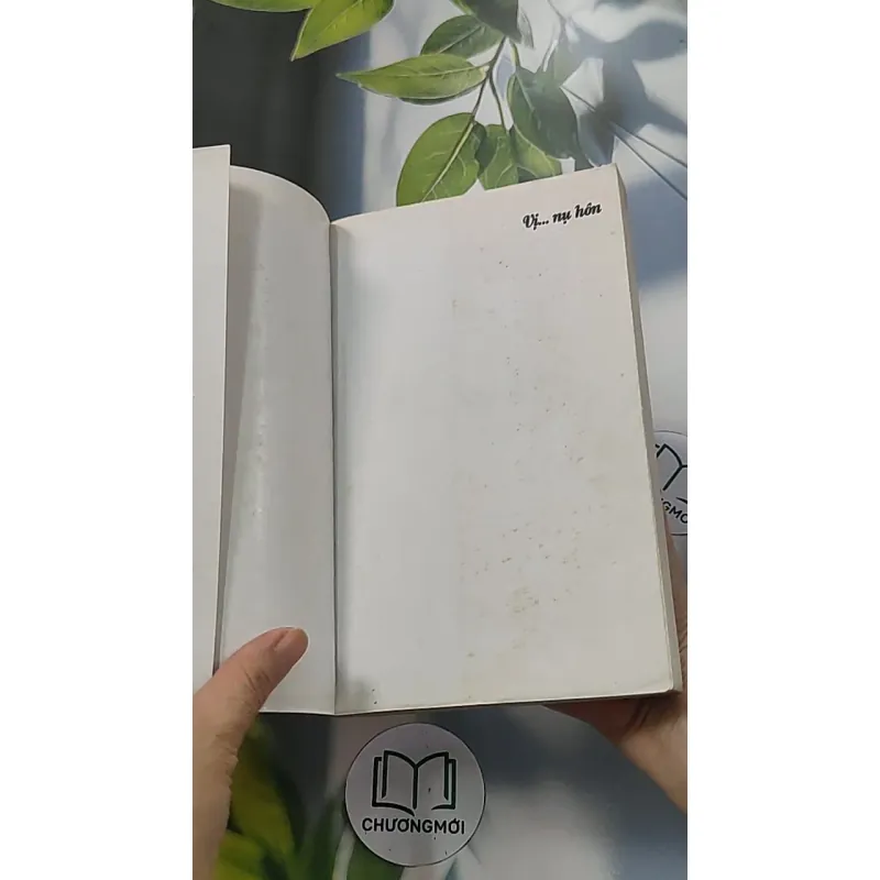 Vị nụ hôn 688654