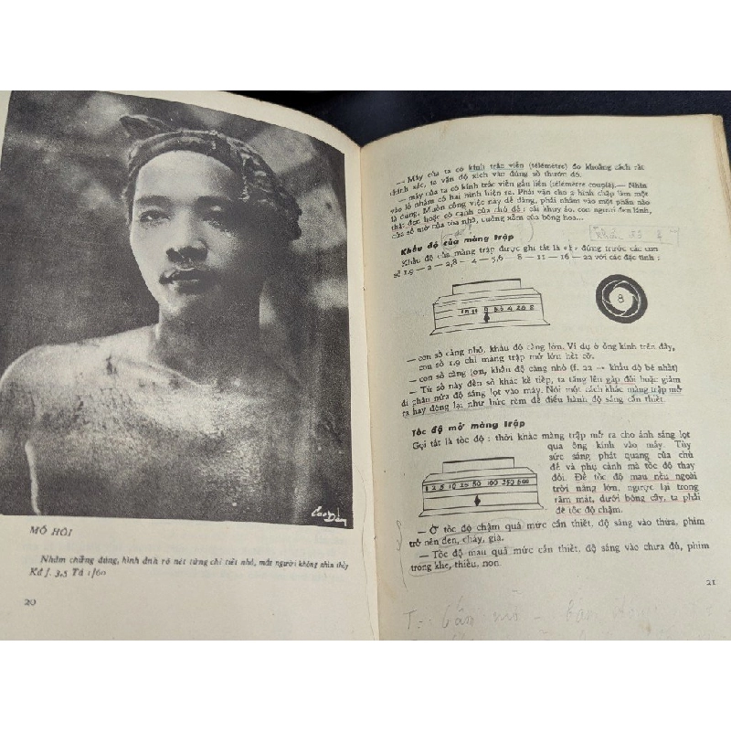 Bước đầu chụp ảnh - Nguyễn Cao Đàm 465298