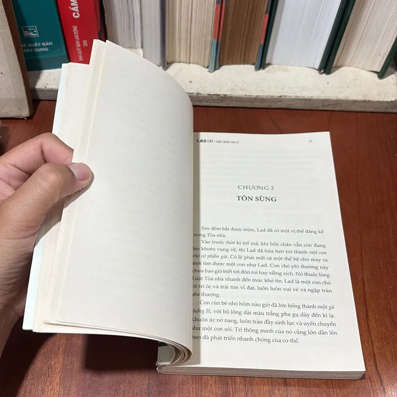 II Sách Kẹp Hạt Dẻ: LAD _ Những Chuyện Chưa Kể (Tập 2) - ALBERT PAYSON TERHUNE - 2020 722485