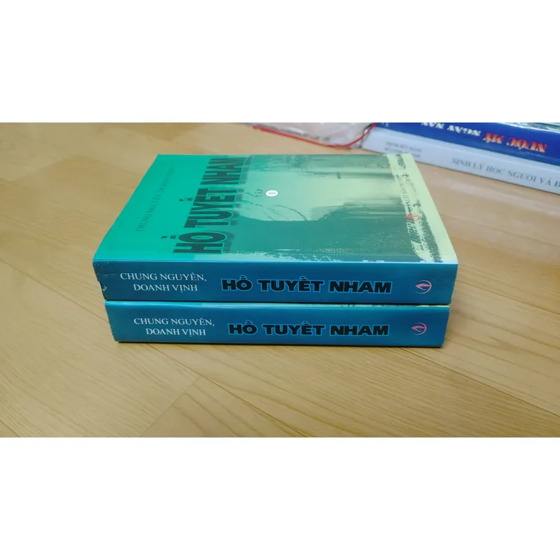 HỒ TUYẾT NHAM 697797