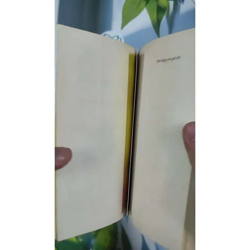 Con Chó Nhỏ Mang Giỏ Hoa Hồng - Nguyễn Nhật Ánh 798468