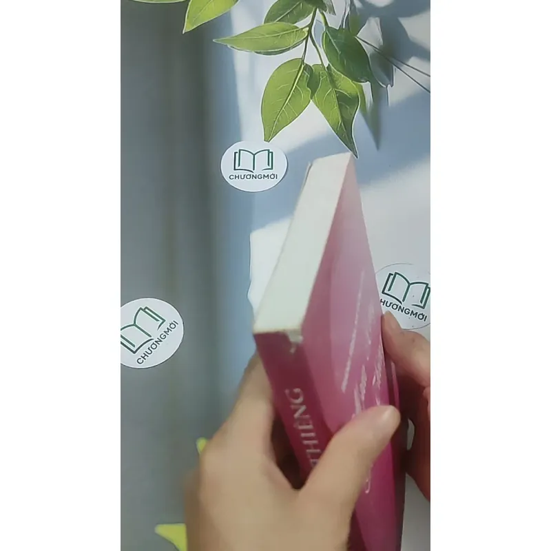 Mưa hồng ánh thiêng - Thánh Têresa hài đồng Giêsu 688631