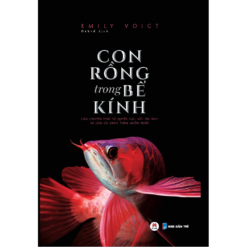 Con rồng trong bể kính (HH) Mới 100% HCM.PO Độc quyền - Tâm lý, kỹ năng sống - Chiết khấu cao 343193