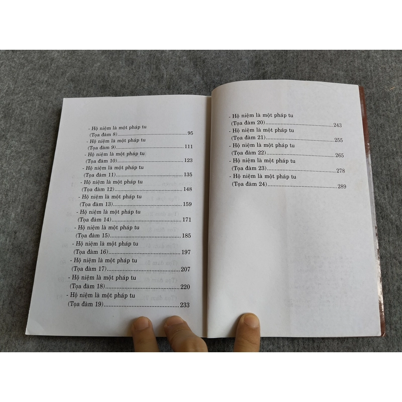 HỘ NIỆM LÀ MỘT PHÁP TU 549087