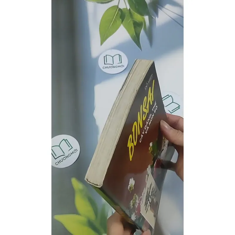 Bonsai: Cây dáng, thế và non bộ - Đỗ Hiệp 694948