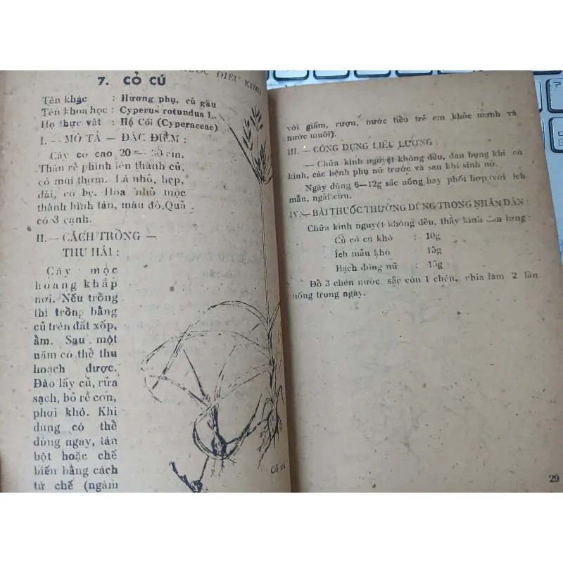 NHỮNG KINH NGHIỆM TRỒNG VÀ SỬ DỤNG MỘT SỐ CÂY THUỐC NAM 588883