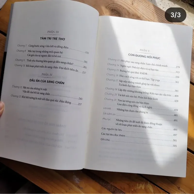 Sang chấn tâm lý - Hiểu để chữa lành - Bessel Van Der Kolk 563569