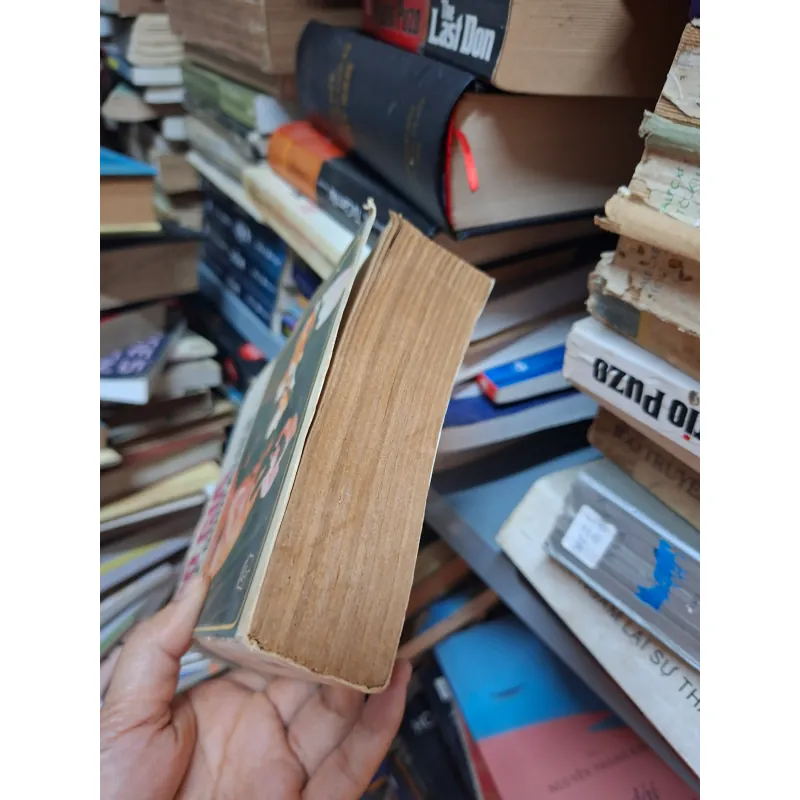 Bố già mariopuzo 937397