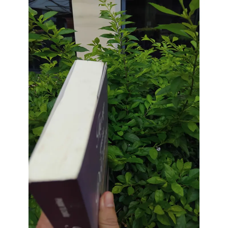 Tự sự giữa đôi dòng - Tuyển tập tác phẩm PGS TS Phạm Tú Châu  997349