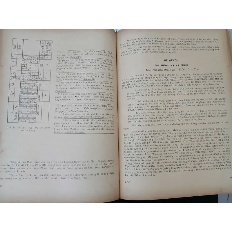 ĐỊA CHẤT VIỆT NAM PHẦN MIỀN BẮC 687503